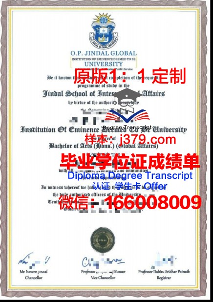 萨达尔帕特尔大学diploma证书(萨达尔·帕特尔塑像)