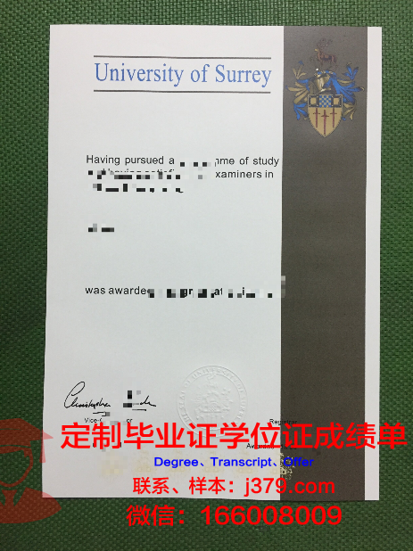 萨里大学毕业学位