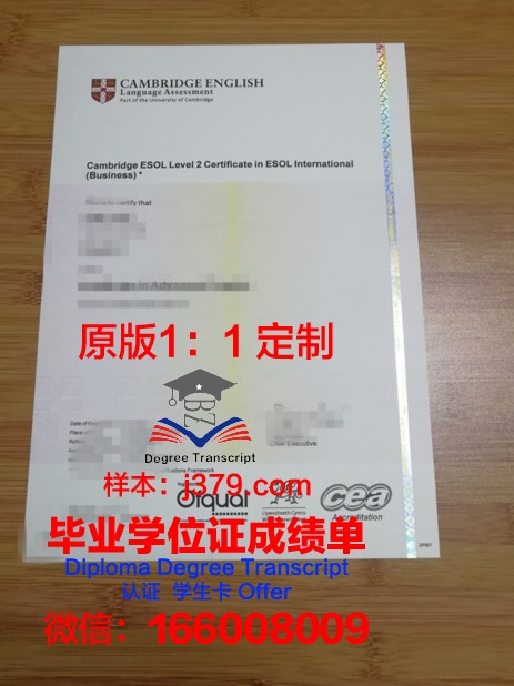 IE大学毕业证书(大学毕业证书的英文)