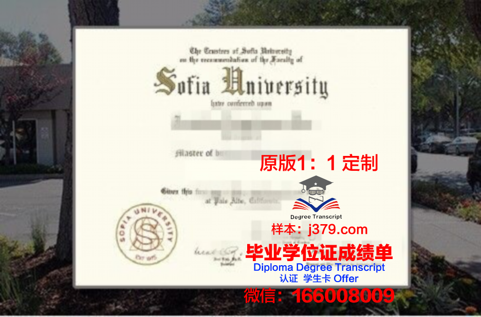 索菲亚大学mba证书(索菲亚大学mba学费)