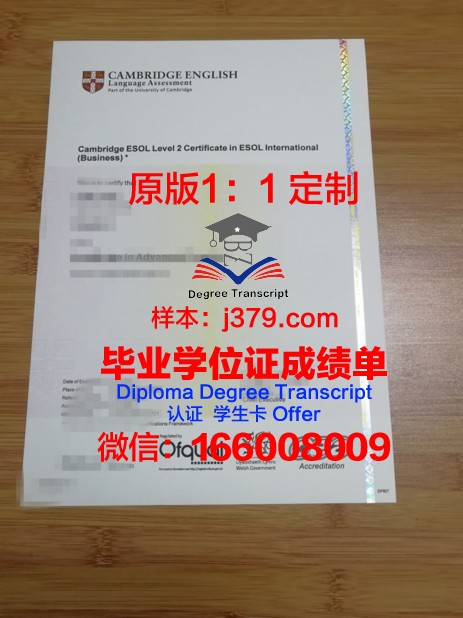 拉贾斯坦大学diploma证书(贾拉斯坦邦)