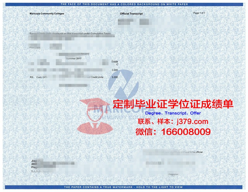 探索经济与人文国际大学成绩单的价值与意义