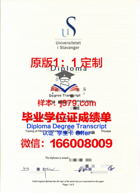 挪威斯塔万格大学毕业证学位文凭学历Diploma