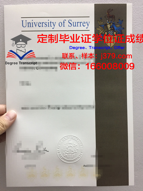 萨里大学毕业学位