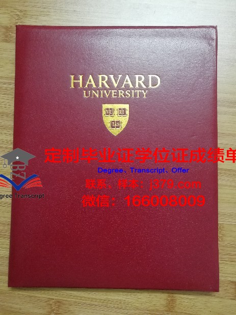 米格尔·埃尔南德斯·德·埃尔切大学毕业证壳子(埃尔斯米尔学院)