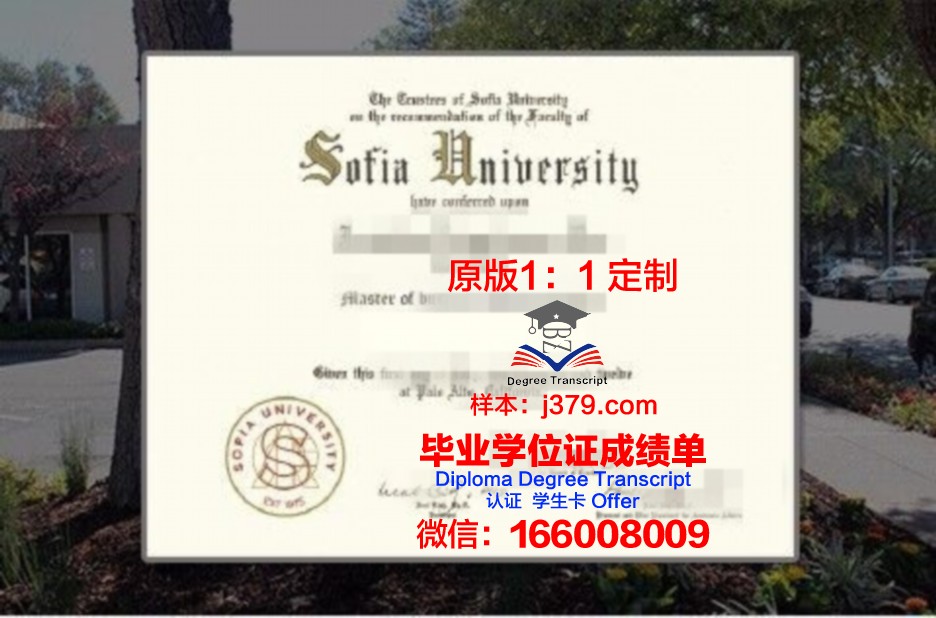 索菲亚赫美大学学院毕业证diploma