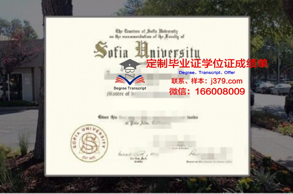 索菲亚大学博士毕业证(索菲亚大学mba)