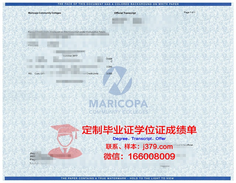 阿涅斯斯科特学院成绩单(阿涅斯b)
