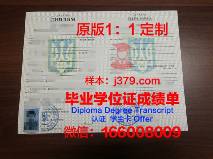 乌克兰国家科学院金属物理研究所diploma证书(乌克兰实验室)