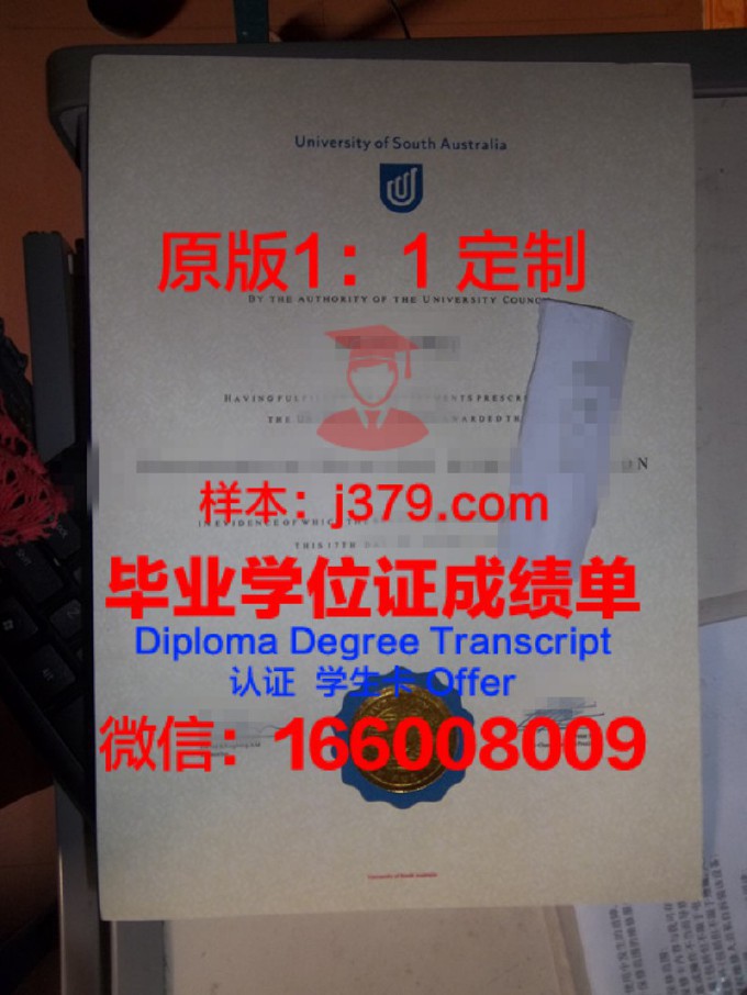 南澳大利亚大学diploma证书(南澳大学国内认可度)