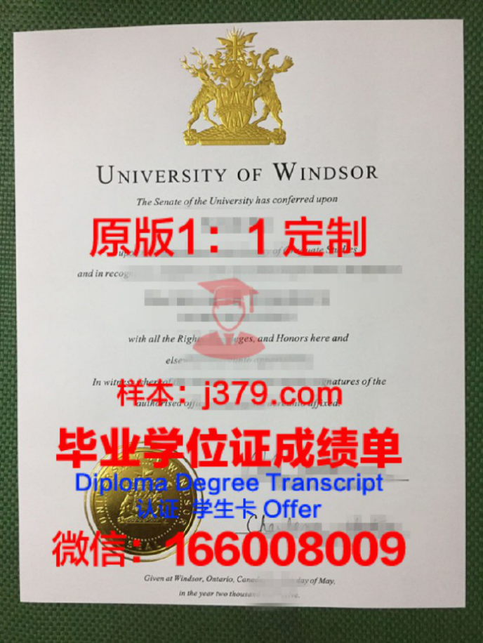 温莎大学毕业证Diploma文凭成绩单